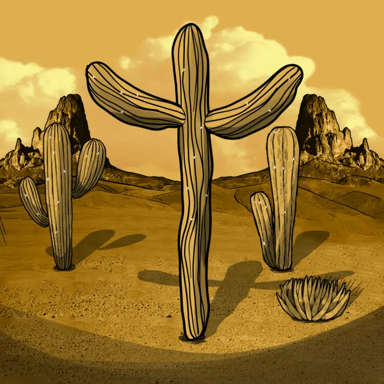 saguaro 1